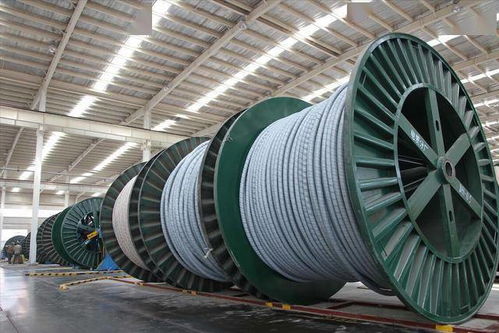 毛利率偏低 新能泰山一季度亏损1412.4万元