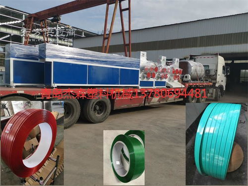 sjjs 90pet打包带设备图片