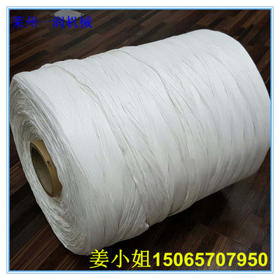 双螺杆电缆填充绳大棚绳拉丝制绳生产设备 塑料填充绳生产线机械