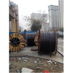 采购上海电线电缆回收,上海电缆线回收